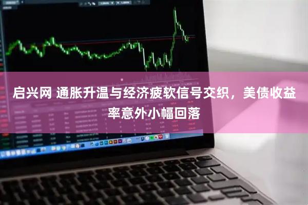 启兴网 通胀升温与经济疲软信号交织，美债收益率意外小幅回落