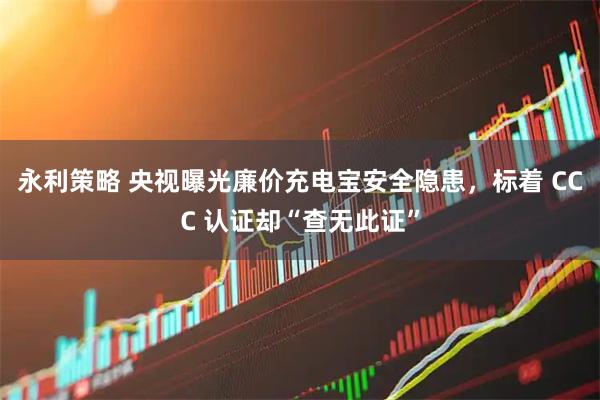 永利策略 央视曝光廉价充电宝安全隐患，标着 CCC 认证却“查无此证”